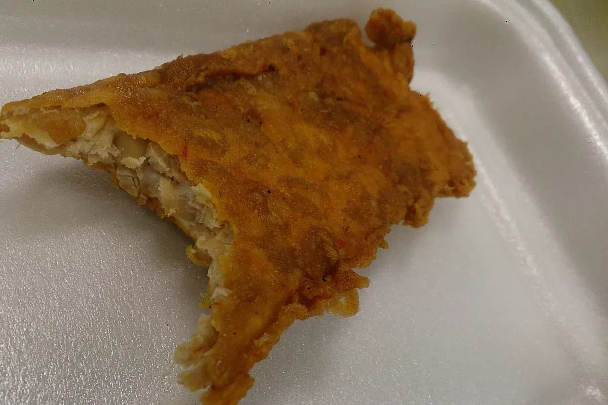 皿の上に、揚げて表面に焼き色がついた薄いテンペが複数重ねて盛られている。