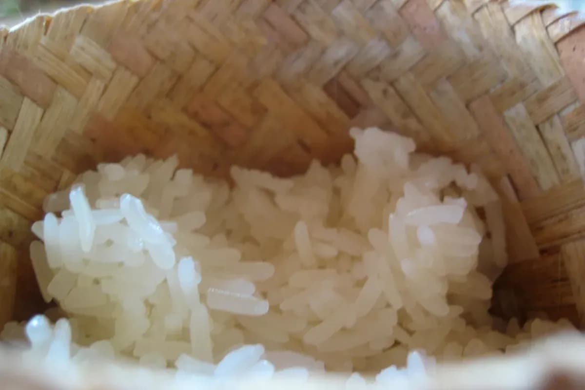 編み目のある蓋付きの籠に盛られた白いもち米。